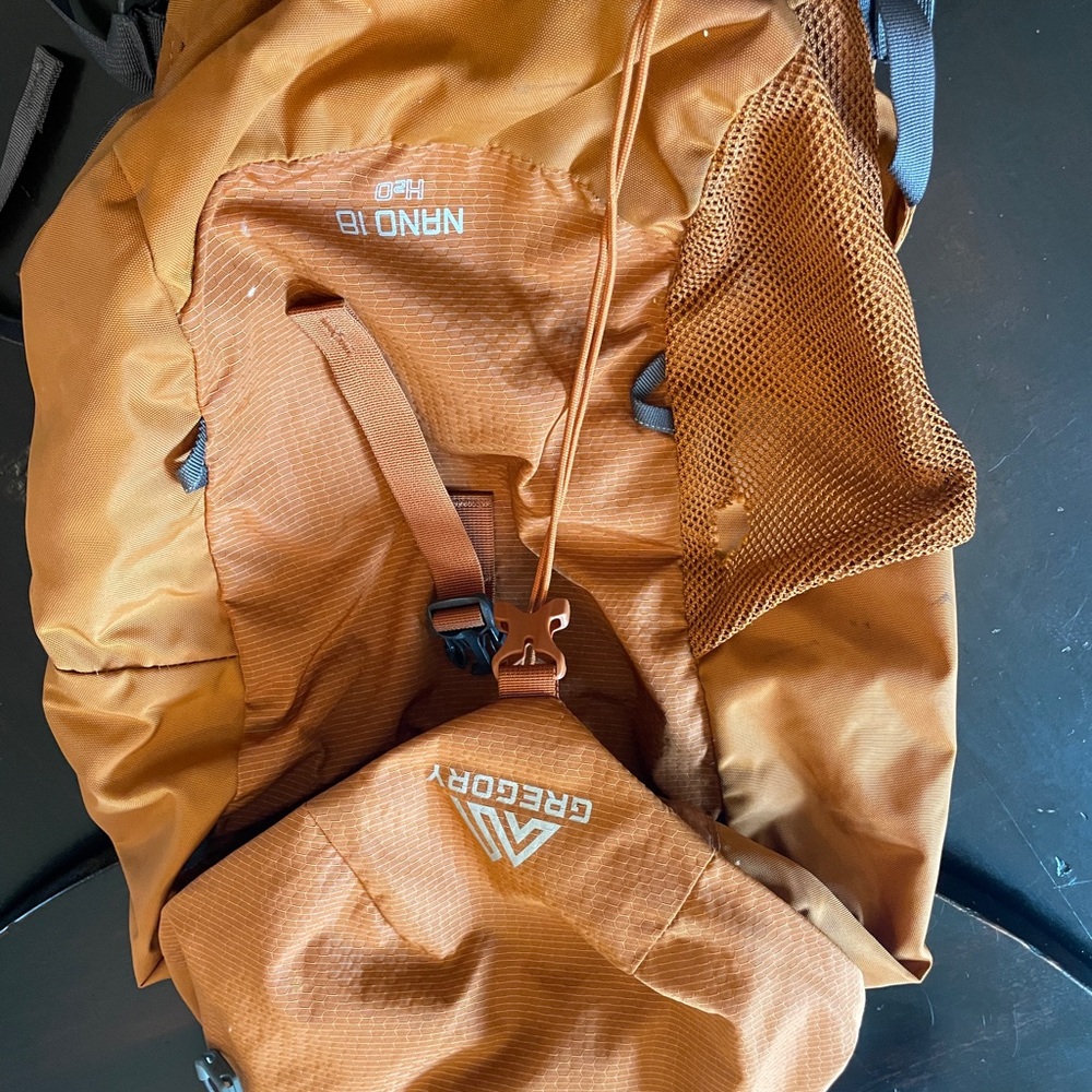Gregory Nano 18 Backpack in Orange